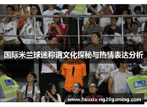 国际米兰球迷称谓文化探秘与热情表达分析
