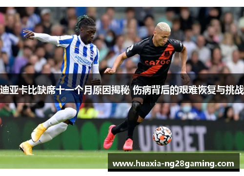 迪亚卡比缺席十一个月原因揭秘 伤病背后的艰难恢复与挑战