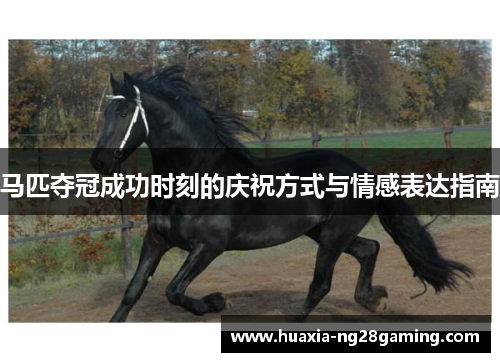 马匹夺冠成功时刻的庆祝方式与情感表达指南