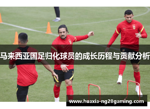 马来西亚国足归化球员的成长历程与贡献分析
