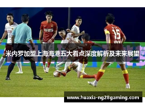 米内罗加盟上海海港五大看点深度解析及未来展望